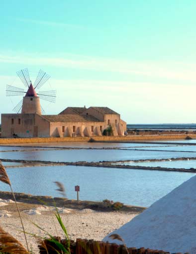 Salina