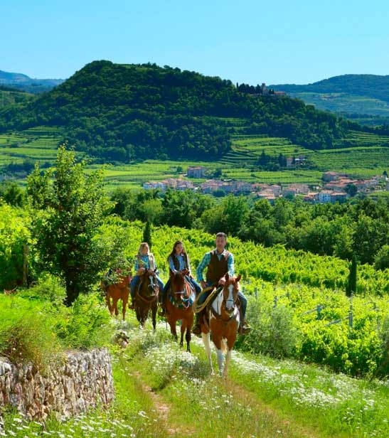 Horseback riding